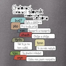 Chatovací slovník moderního seniora (Běžící češtinář)