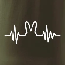 EKG zajíc EKG zajíc