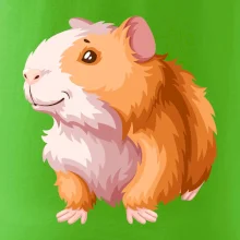 Morče - kreslené, bílo oranžové