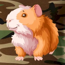 Morče - kreslené, bílo oranžové