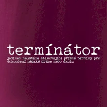 Čeština 2.0 - termínátor