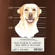 Lump a darebák labrador