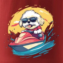 Lhasa Apso na vodním skútru