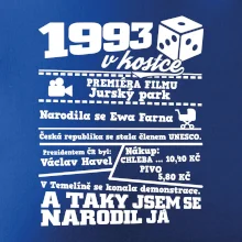 1993 v kostce