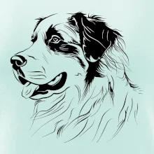 Bernský salašnický pes černá kresba