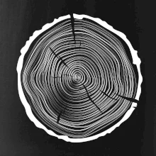 Letokruhy 50 bez věku