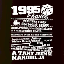 1995 v kostce