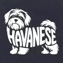 Havanese nápis v těle