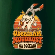 Odebírám moudrost na počkání