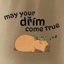 May your dřím come true