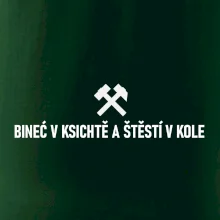 BINEĆ V KSICHTĚ A ŠTĚSTÍ V KOLE﻿