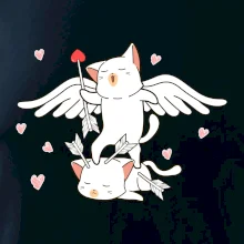 Kočky Amorův šíp