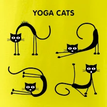 Kočičí jóga (Hana-creative)