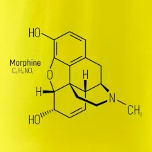 Molekulární struktura Morfin