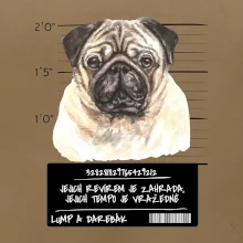 Lump a darebák mopsík