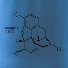 Molekulární struktura Morfin