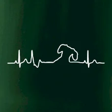 Jezevčík EKG Jezevčík EKG
