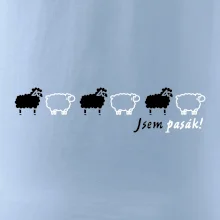 Jsem pasák - ovce v řadě