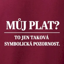 Můj plat? to jen taková symbolická pozornost