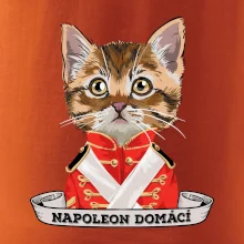 Napoleon domácí kočka