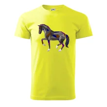 Kůň geometrie barevný