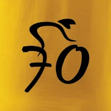 Cyklista slaví sedmdesátku (70)