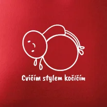 Cvičím stylem kočičím