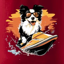 Border Kolie na vodním skútru