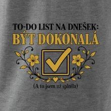 To-Do list na dnešek Být dokonalá