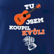 Tu kytaru jsem koupil kvůli tobě