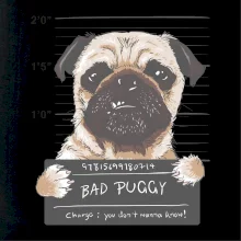 Mops - Bad Puggy