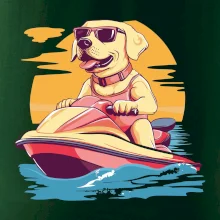 Zlatý retrívr na vodním skútru