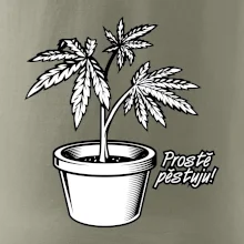 Konopi prostě pěstuju