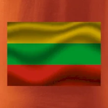 Litva vlajka obdélník