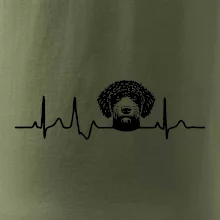 Lagotto romagnolo hlava EKG