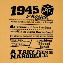 1945 v kostce