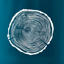 Letokruhy 75 bez věku