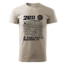 2011 v kostce