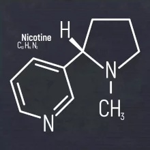 Molekulární struktura Nikotin