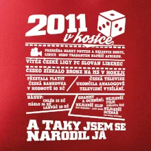 2011 v kostce