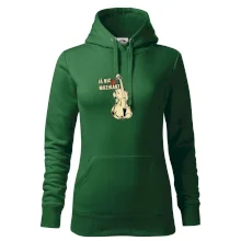 Já nic, já muzikant