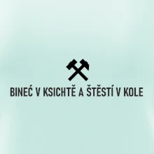 BINEĆ V KSICHTĚ A ŠTĚSTÍ V KOLE﻿