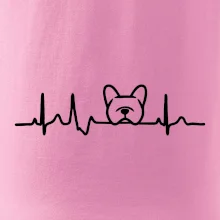 EKG Francouzský buldoček hlava