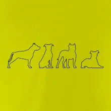 Americký stafordširský teriér v různých pozicích