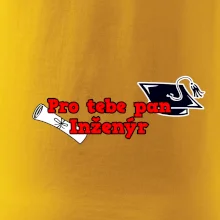 Pro tebe pan Inženýr