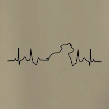 Stafordšírsky bulteriér EKG