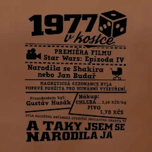 1977 v kostce