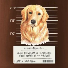 Lump a darebák zlatý retrívr