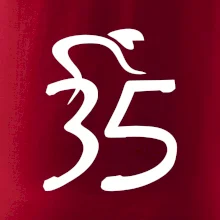 Cyklista slaví pětatřicítku (35)