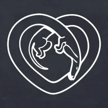 Jezevčík srdce - obrys